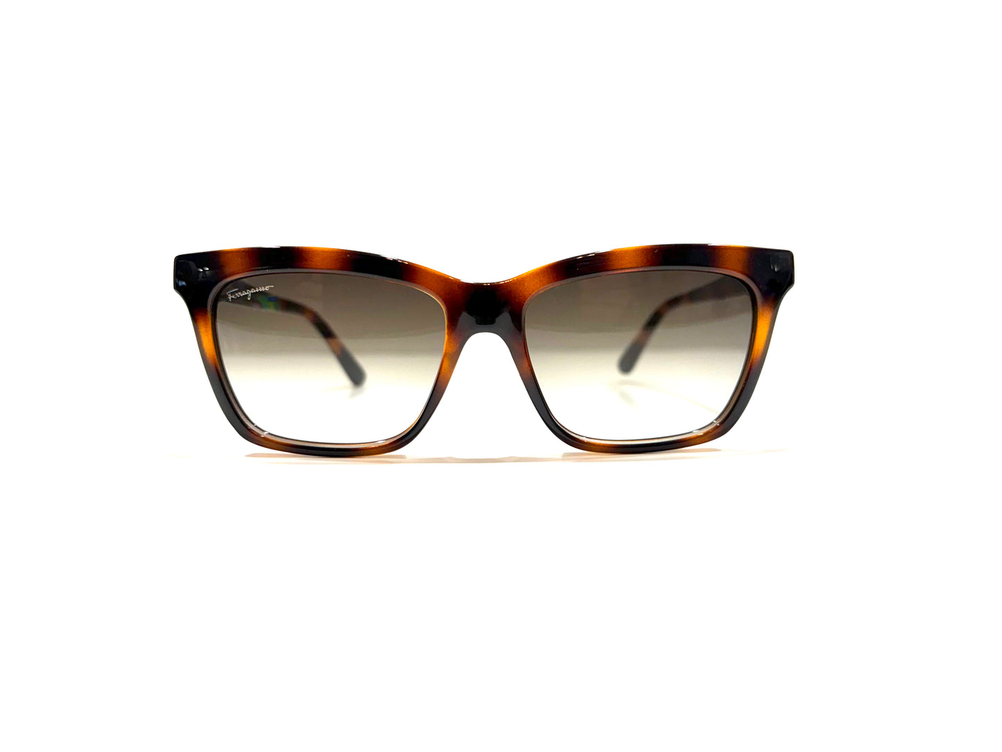 Ferragamo SF1027 Tortoise