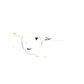 Nike-7026 Clear