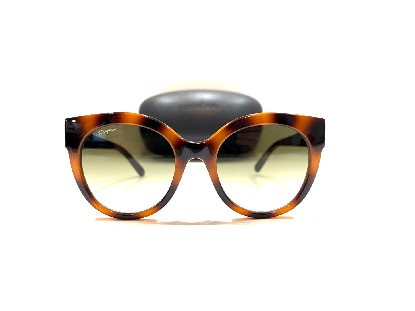 Ferragamo SF1013 Tortoise