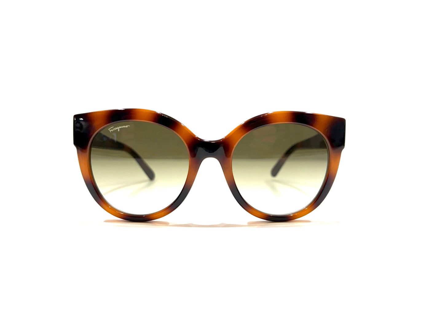 Ferragamo SF1013 Tortoise