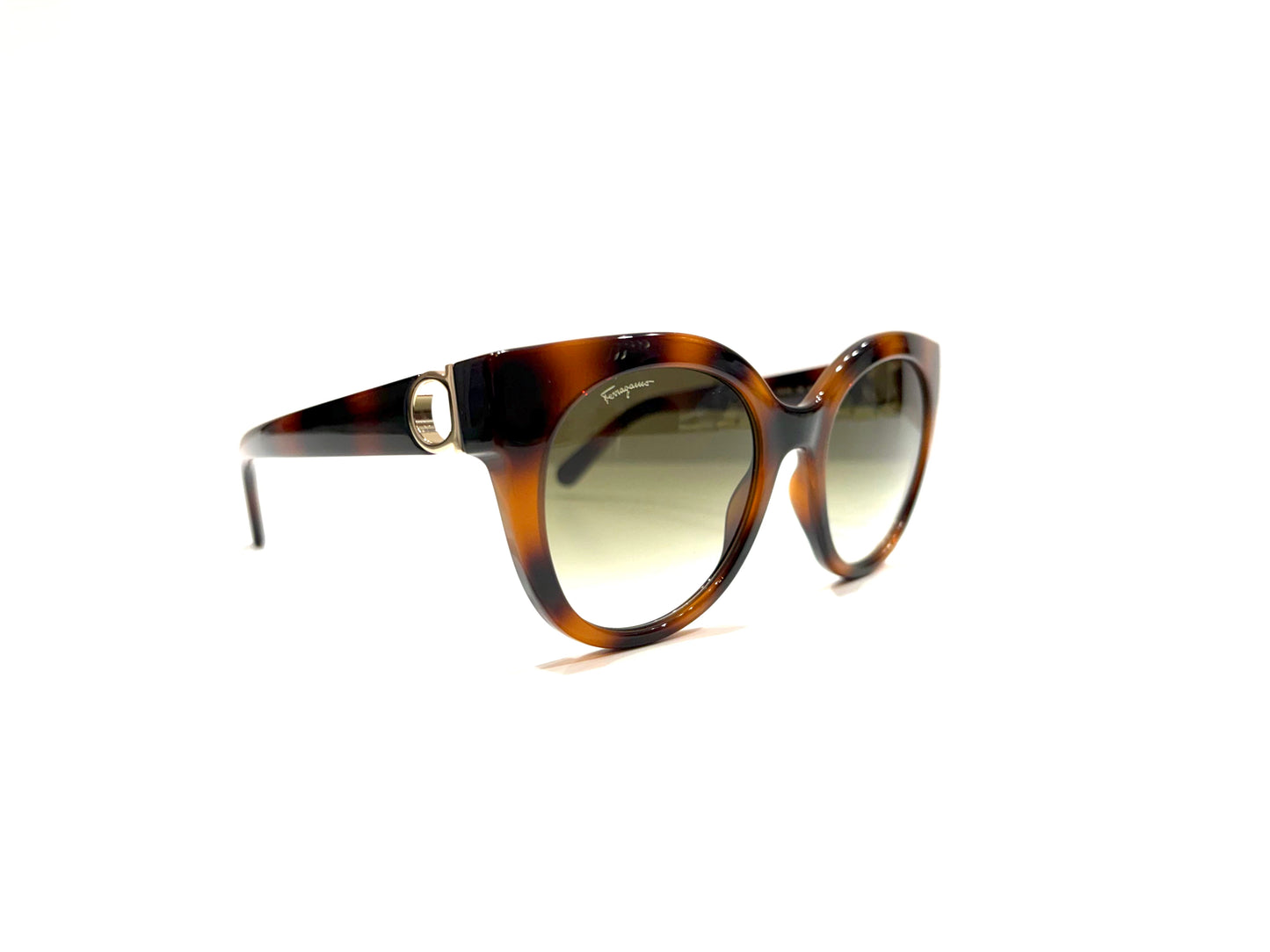 Ferragamo SF1013 Tortoise