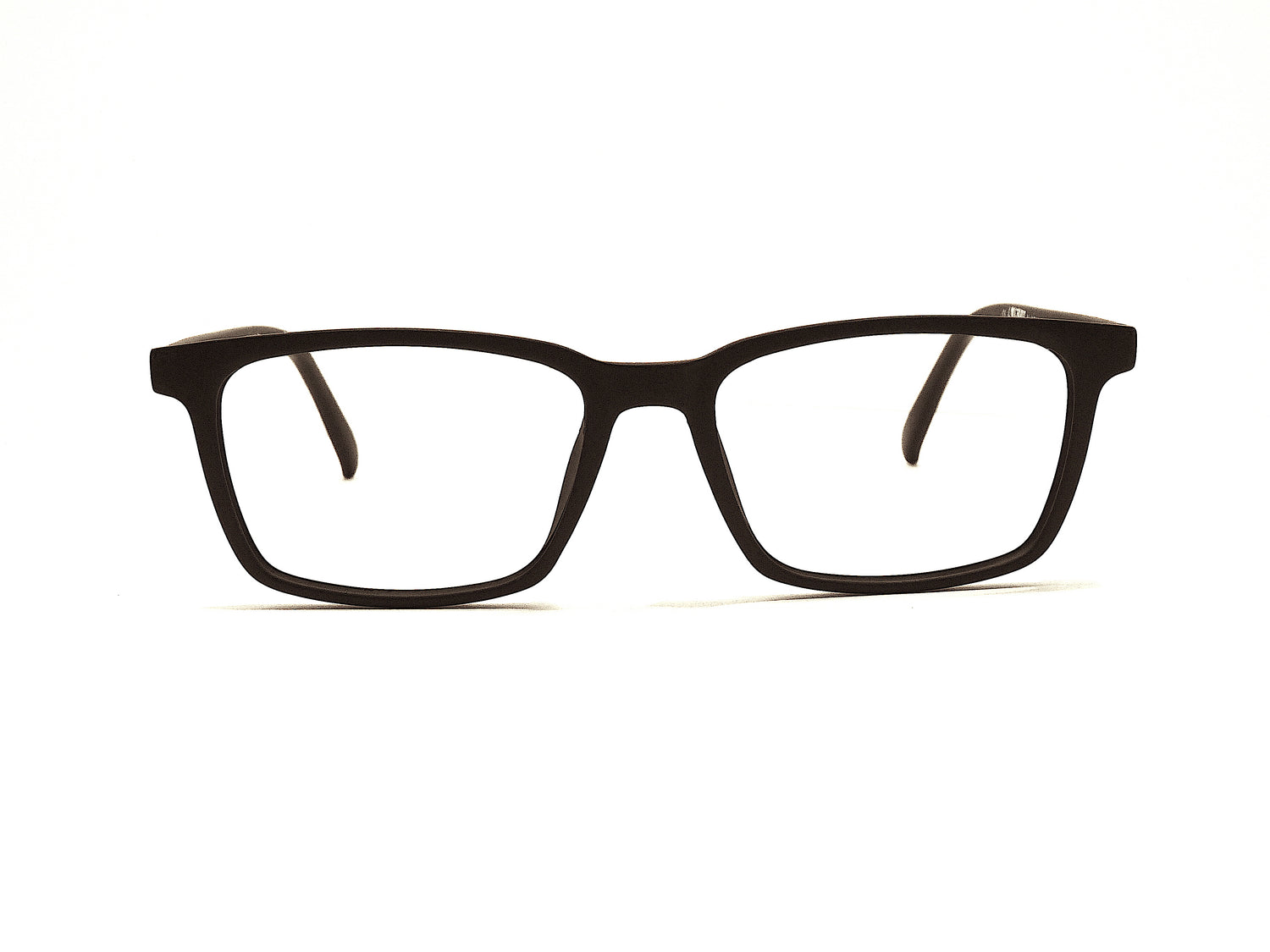 Collections – Florida Eyeglasses